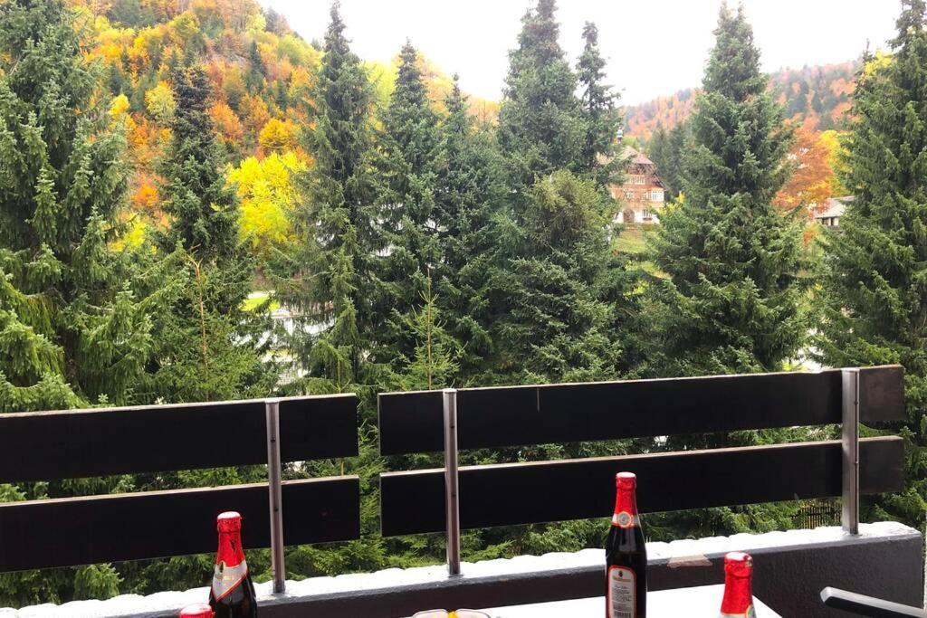 Ferienwohnung Schwarzwald Todtmoos Buitenkant foto